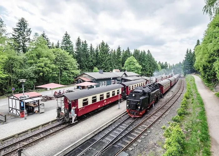 Bergwaldchalet Tierfreund 1 Holiday home