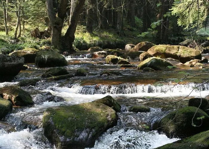 Bergwaldchalet Tierfreund 1 Holiday home *